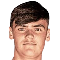 利奥·法雷尔头像