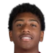 克里斯蒂安·大卫头像