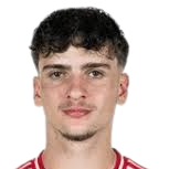 大卫·普鲁头像