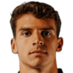 罗德里戈·巴拉塔·戈尔盖拉·阿尔维斯·格德斯头像