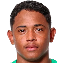 佩德里尼奥头像