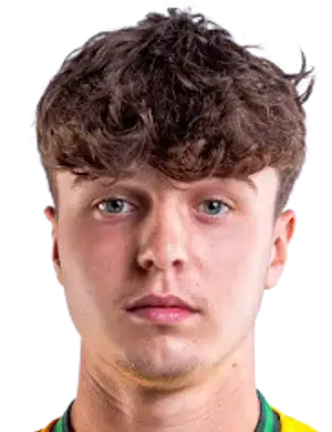 米沃什·斯瓦托夫斯基头像