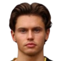 亨里克·艾尔沃德头像