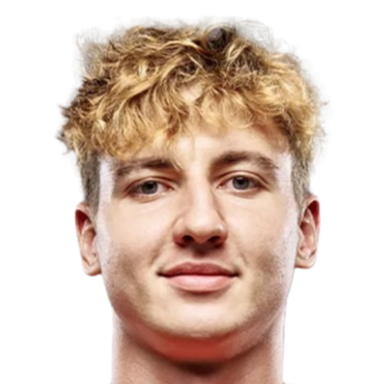 米哈伊尔·施泰帕头像