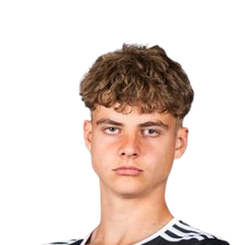 伦迪斯·米赫尔松斯头像