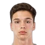 特奥多尔·克拉列夫斯基头像