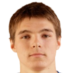 卢卡·霍伊兰德头像