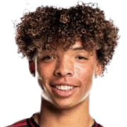 多米尼克·张贵头像