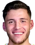 阿尔廷·沙拉头像