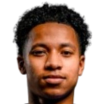 根里奇·西勒头像