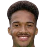 迪伦·特夫雷登头像