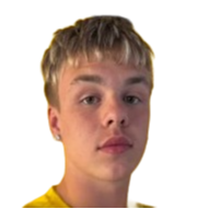 罗伯特·埃利·维菲尔森头像