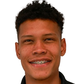 韦马尔·卡斯特罗头像