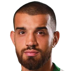 弗拉迪斯拉夫·巴博格罗头像