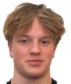 亚伦·西沃宁头像