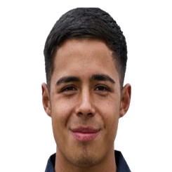 维克多·埃斯特拉达头像