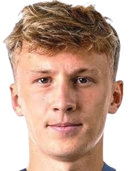 雷纳特·戈尔宾头像