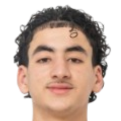 萨利姆·拉格扎维头像