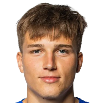 P·科瓦利克头像