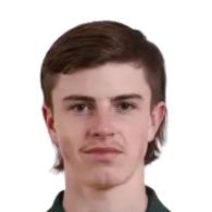 瑞安·卡尔姆斯头像