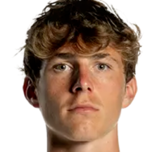 迈克尔·海恩延斯头像