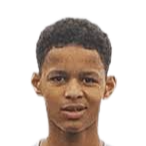 阿米尔·布赖森头像