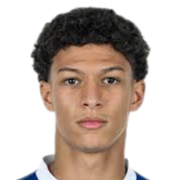 路易·本·法哈特头像