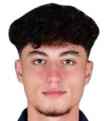 梅廷·埃姆雷·卡拉尔头像