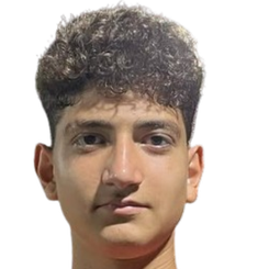 埃伦·费丹头像