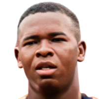 达文森·埃斯图皮尼安头像