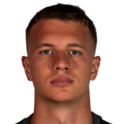 彼得·皮特里加头像