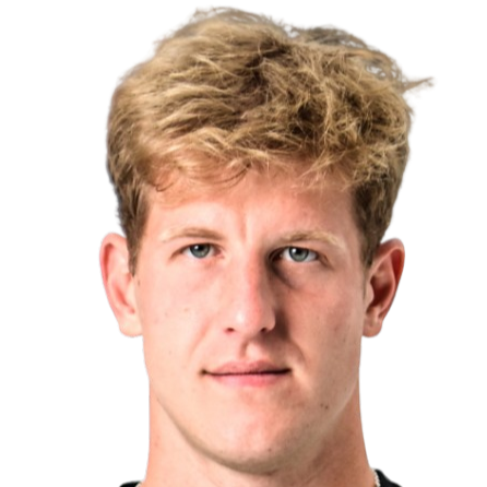 安德烈·尼基廷头像