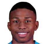 迪迪埃·道森头像