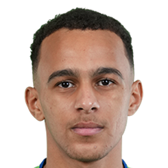 侯赛因·扎里头像