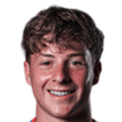 罗德里戈·罗德里格斯头像