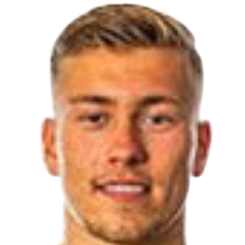 布拉姆·德布鲁因头像