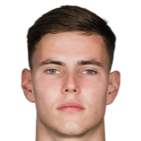 丹尼斯·特瓦尔多夫斯基头像