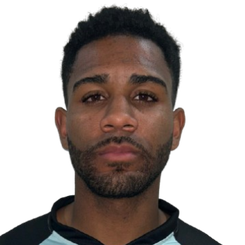 罗德里格斯头像