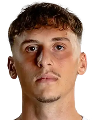 弗洛伦特·哈迪尼头像