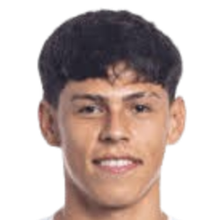 何塞·布林头像