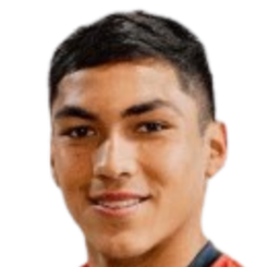 加布里埃尔·平托头像