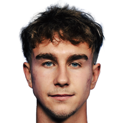 多米尼克·萨拉帕塔头像