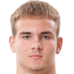 尼古拉·巴罗夫斯基头像