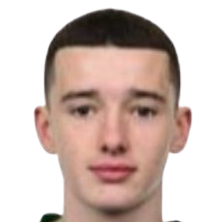 里斯·奈特头像