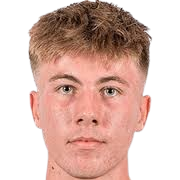 古斯塔夫·奥尔索·克里斯坦森头像