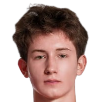 伊利亚·梅什切里亚科夫头像