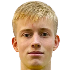 尼古拉·安德里亚诺夫头像