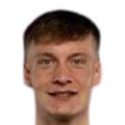 维尔海姆森头像