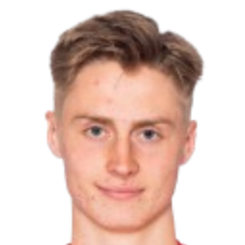 拉尔斯·雷姆头像