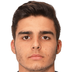 帕特里克·波佩斯库头像